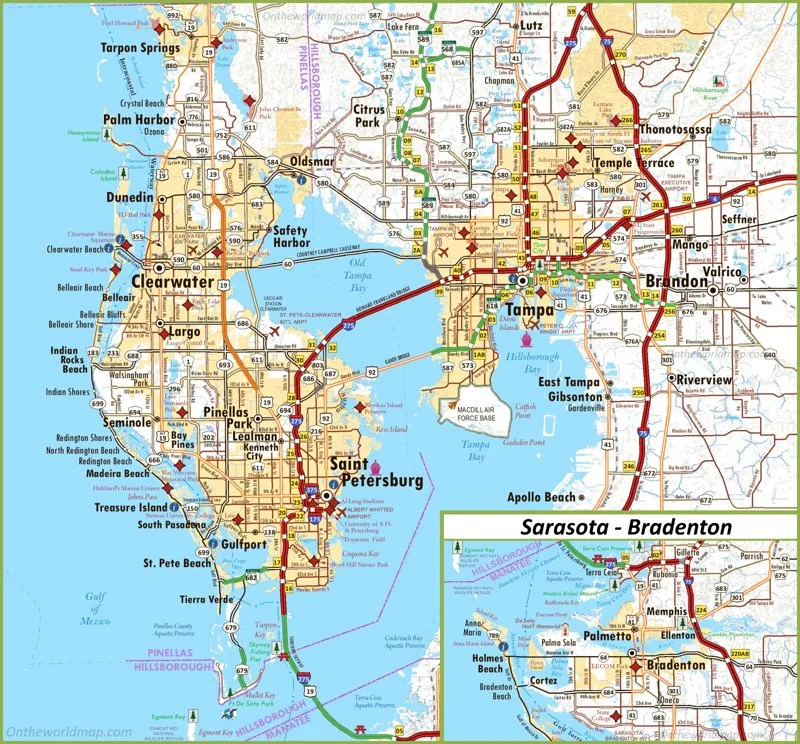 How to Choose the Best 3D Printing Service Near You (Tampa Bay Edition)